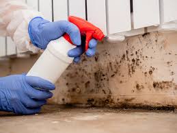 Best Airborne Mold Testing  in Santa Clara, CA